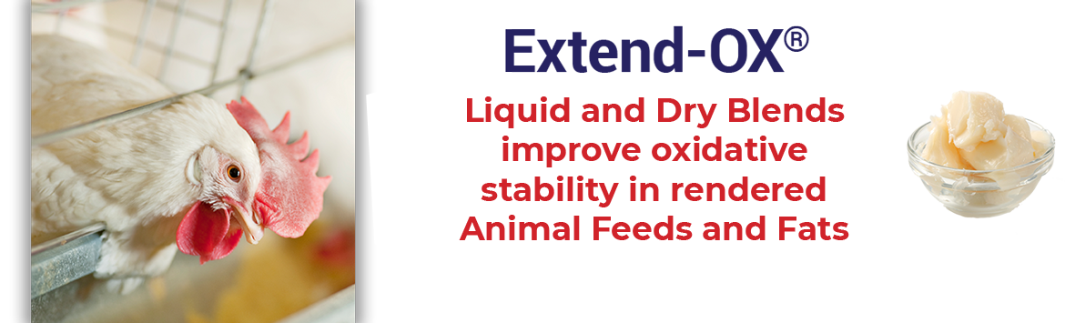 Top ShieldR Plus eliminated residual salmonella loads in poultry fat.
